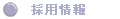 �̗p���